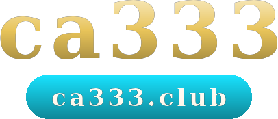 ca333 logo